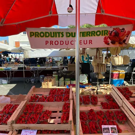 La Maison Du Parc 住宿加早餐酒店 Saint-Vite