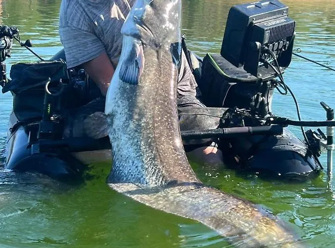 La Maison Du Parc 3* Saint-Vite