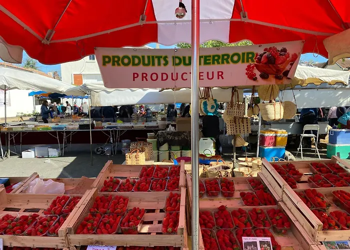 La Maison Du Parc Bed & Breakfast Saint-Vite